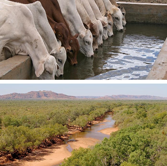 Groundwater Development in Northern Australia - Innovative Groundwater Solutions