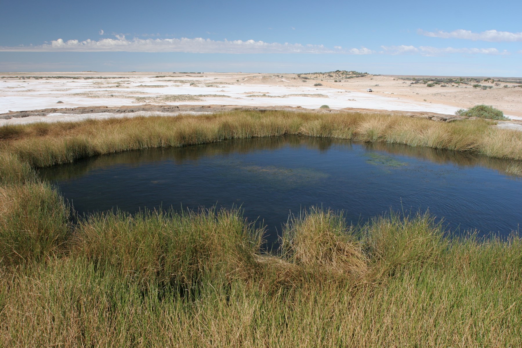 Groundwater Sustainability and Management