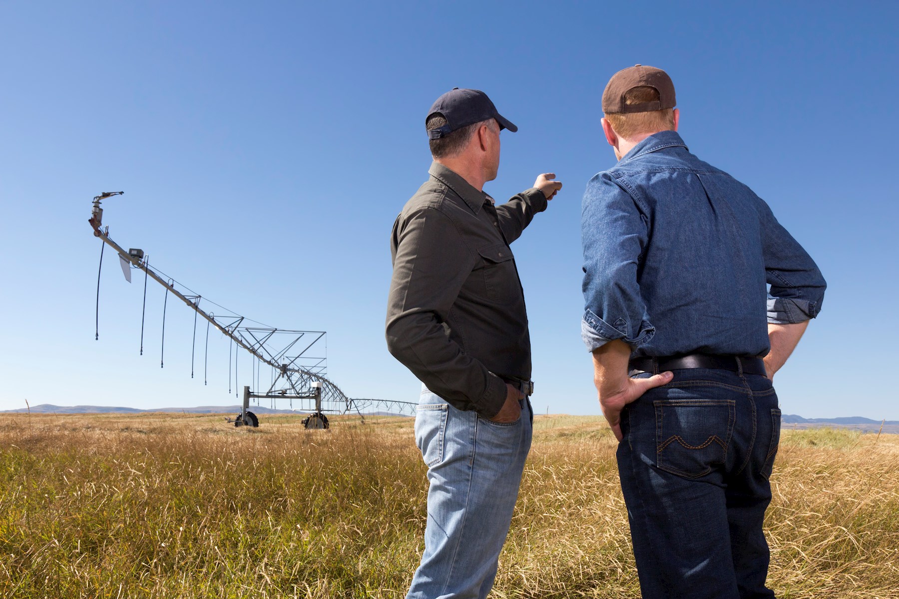 Community Engagement and Training