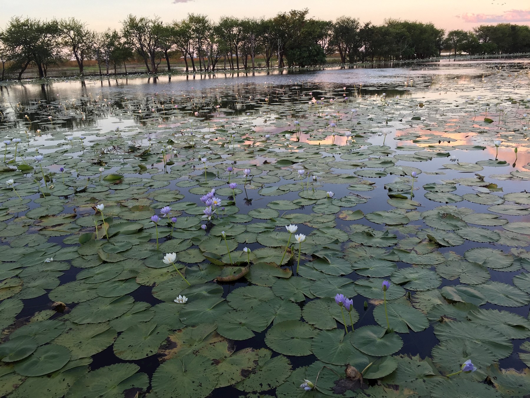 Aquatic and Coastal Environments